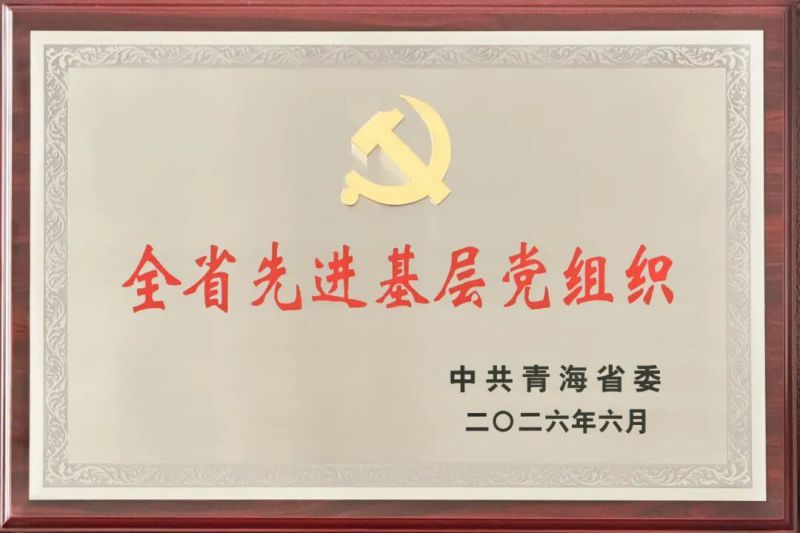 喜報！省物產集團黨委及所屬集體個人榮獲全省和省國資委系統(tǒng)&ldquo;兩優(yōu)一先&rdquo;表彰