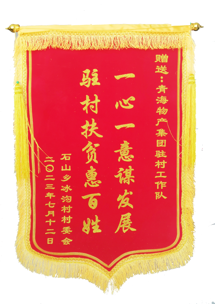 駐村幫扶惠百姓 情滿冰溝暖人心 &mdash;&mdash;省物產集團駐村工作隊期滿離任獲贈錦旗