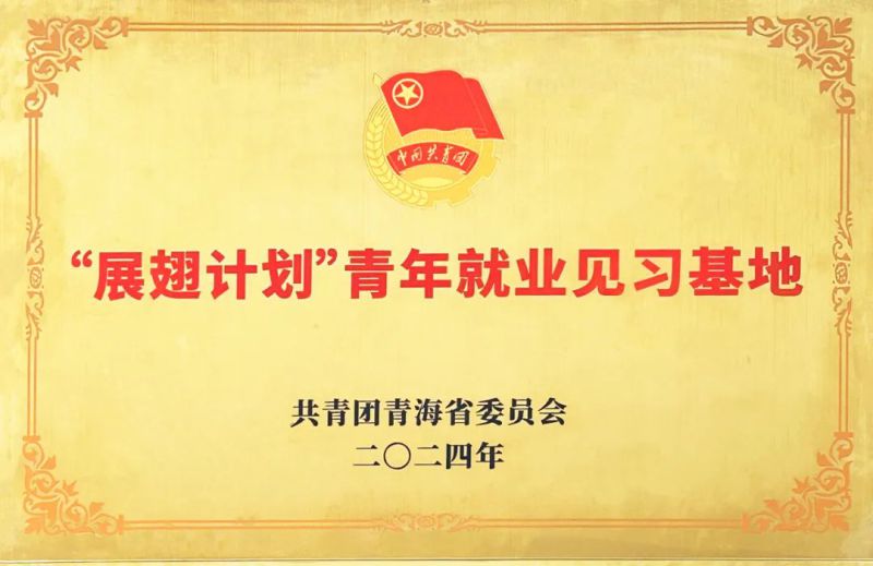 物產工投公司被團省委授予&ldquo;展翅計劃&rdquo;首批青年就業見習基地